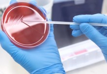 Microbiome Science Hub Unfolds “Innovation Through Collaboration”