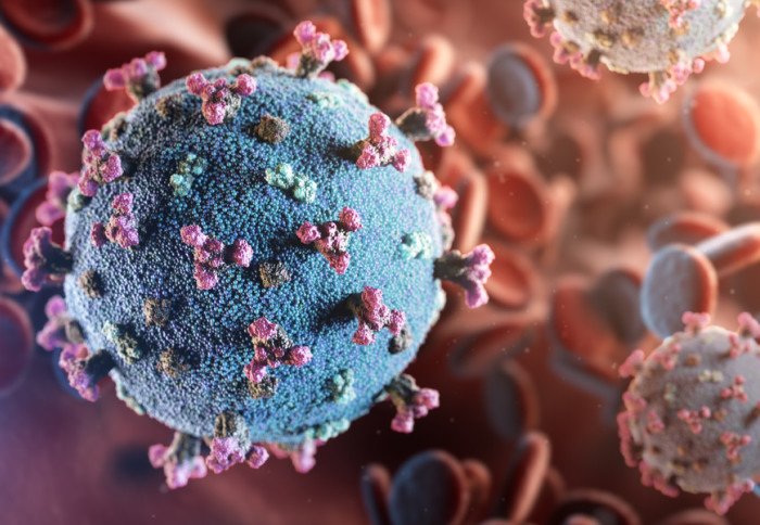 SARS-CoV-2 virus