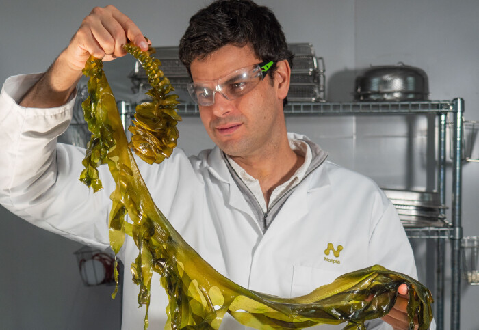 A scientist in a lab coat holds a massive piece of seaweed