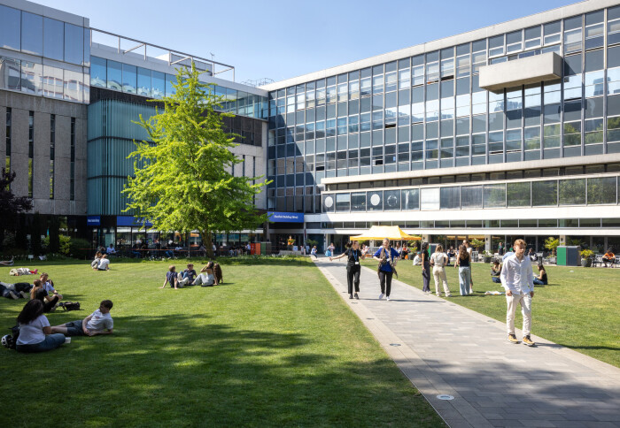 Dangoor Plaza in the sunshine