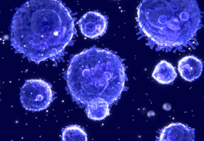 T Cells