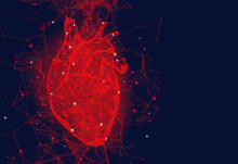 Thousands of cardiac ‘digital twins’ offer new insights into the heart